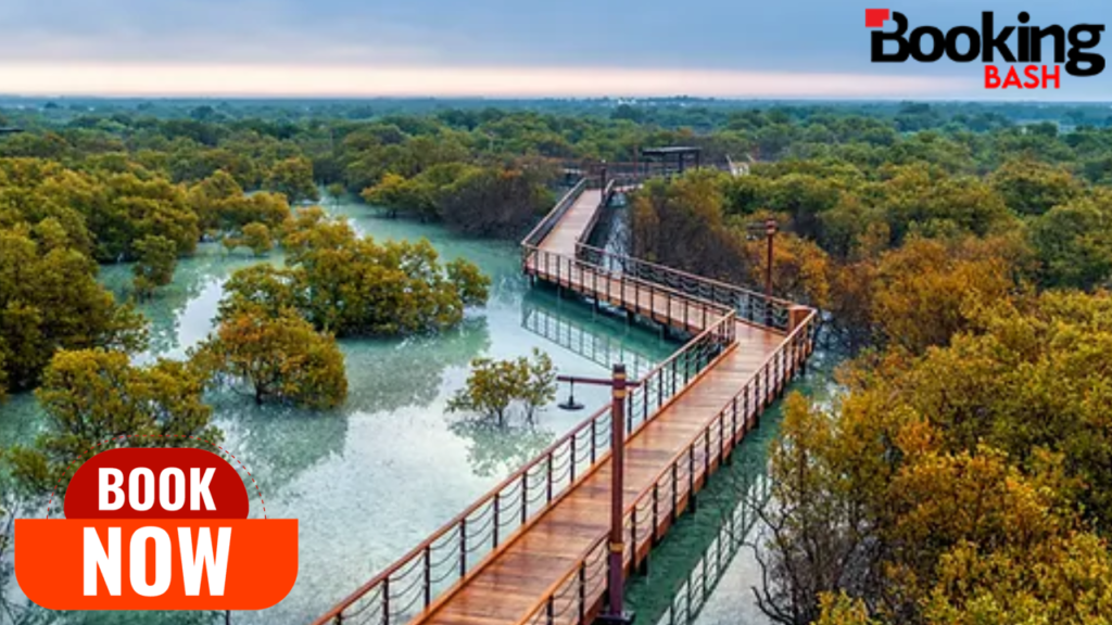 Jubail Mangrove Park Abu Dhabi